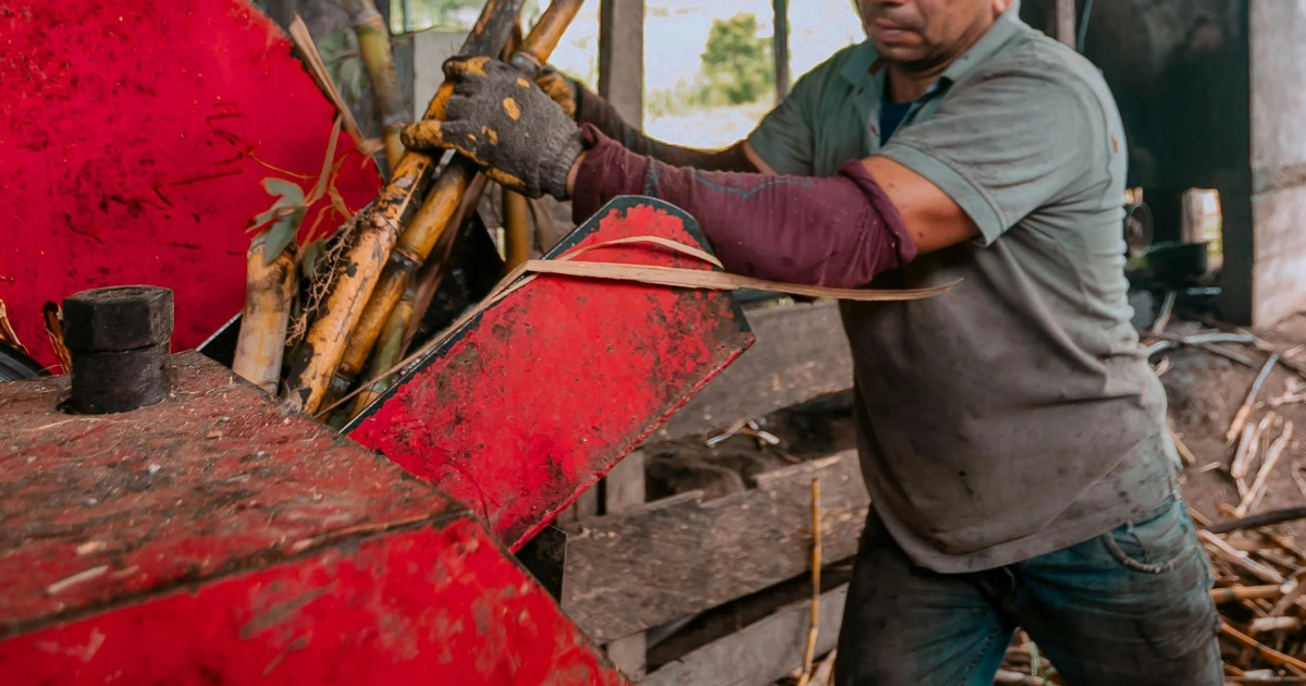 oksasilppuri käytössä