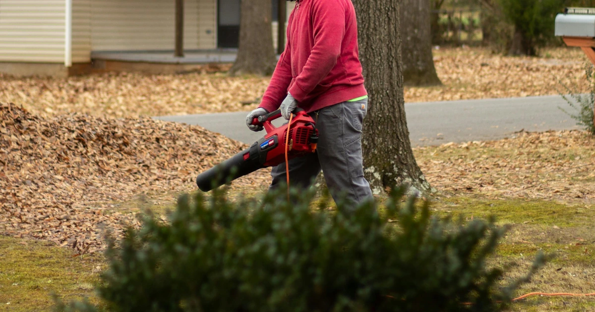 paras lehtienkerääjä testi