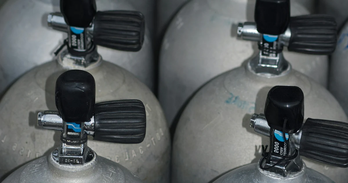 paras reppuruisku testi