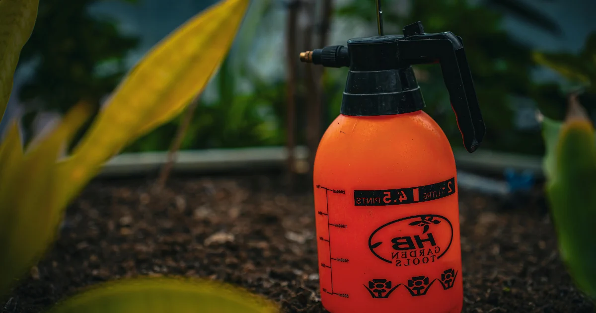 Paras painesumutin testi